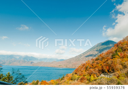 《栃木県》秋の日光、半月山から見下ろす中禅寺湖 、奥日光、空撮、 《栃木県》秋の日光、半月山から見下ろす中禅寺湖 、奥日光、空撮、 55939376