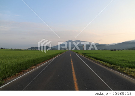 筑波山 55939512