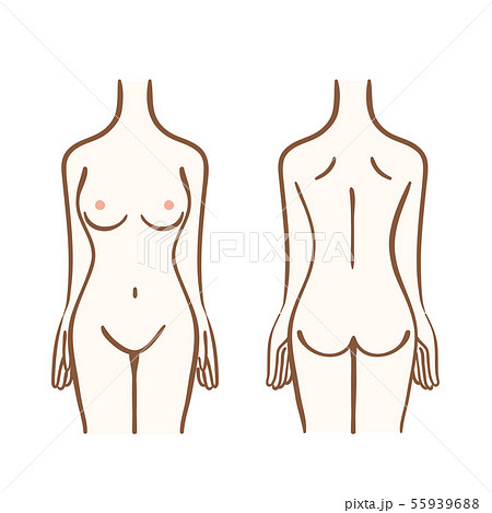 女性の胴体のイラスト 55939688
