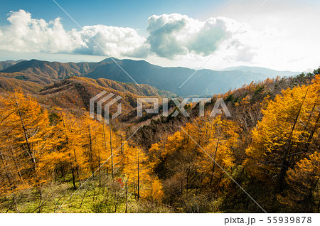 秋晴れの半月山 半月峠展望台、半月山駐車場、ハイキングコース、ハイキング、 秋晴れの半月山 半月峠展望台、半月山駐車場、ハイキングコース、ハイキング、 55939878