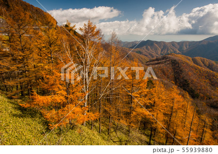 秋晴れの半月山 半月峠展望台、半月山駐車場、ハイキングコース、ハイキング、 55939880