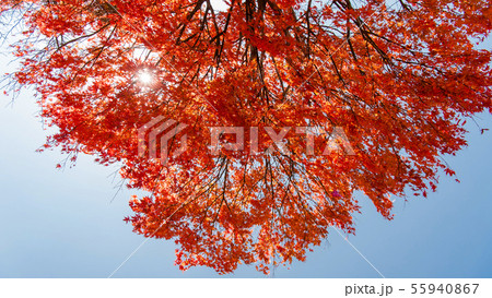《栃木県》秋の日光、紅葉と青空 、和風イメージ、秋イメージ, 《栃木県》秋の日光、紅葉と青空 、和風イメージ、秋イメージ, 55940867