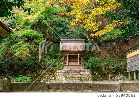 三所権現社 百済寺 55940963