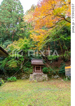 三所権現社 百済寺 55941037