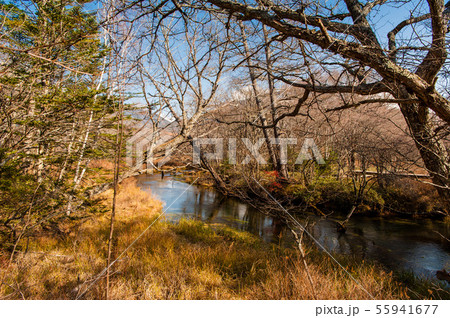 栃木県日光市 秋晴れの戦場ヶ原 奥日光の湿原 湯川の流れの写真素材