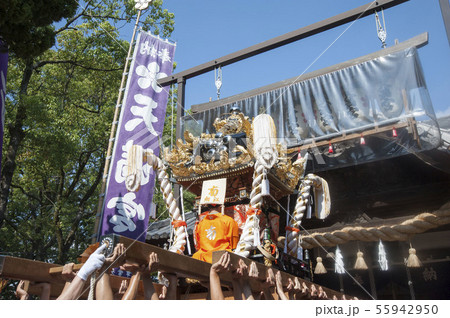 播州姫路の秋祭り・浜の宮天満宮 播州姫路の秋祭り・浜の宮天満宮 55942950