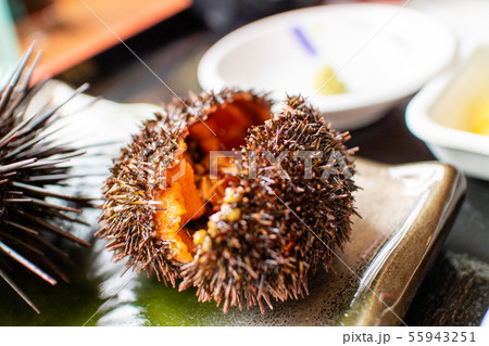 うに うに 55943251