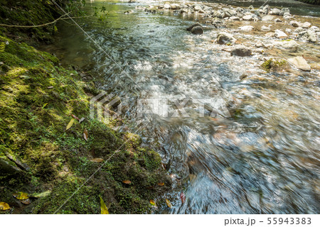 奥十曽渓谷の清流と苔むした岩 55943383