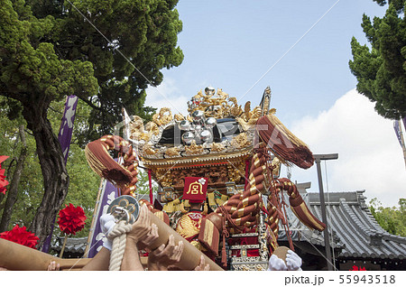 播州姫路の秋祭り・浜の宮天満宮 播州姫路の秋祭り・浜の宮天満宮 55943518