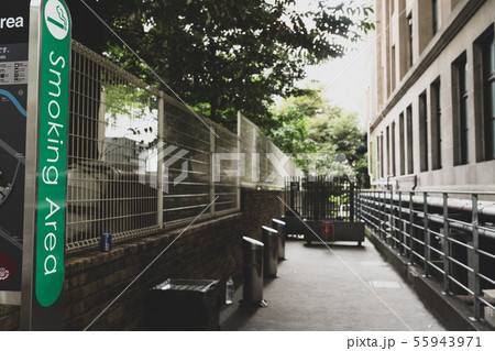 大学キャンパス風景 大学キャンパス風景 55943971