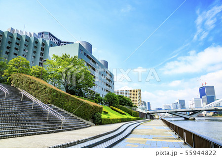 隅田川(夏) 隅田川(夏) 55944822