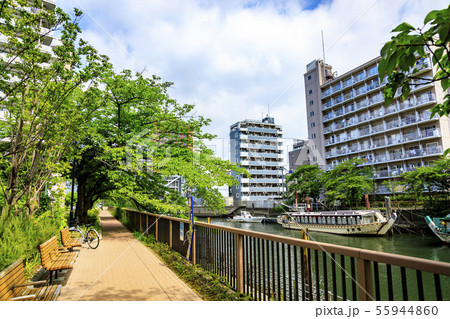 隅田川（夏） 55944860