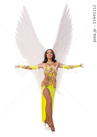 Brunette in gorgeous costume and wings shot Brunette in gorgeous costume and wings shot 55945112