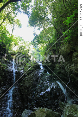 愛媛県大洲市　白滝公園　落合の滝 55945289