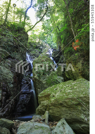 愛媛県大洲市　白滝公園　落合の滝 55945308
