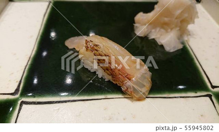 sushi sushi 55945802