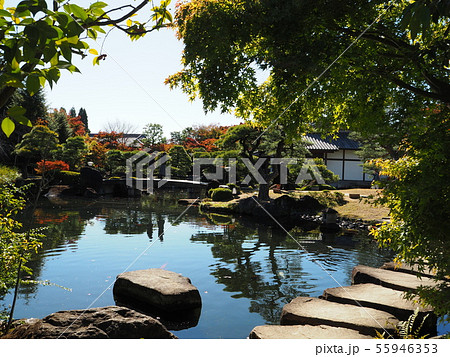 晩秋の庭園(兵庫県姫路市・好古園) 晩秋の庭園(兵庫県姫路市・好古園) 55946353