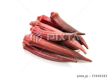 赤オクラ 赤オクラ 55946383