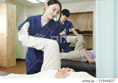 リハビリテーション　シニア　理学療法士 55946827