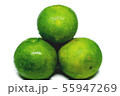 Fresh green tangerine it a fruit., isolated on 55947269