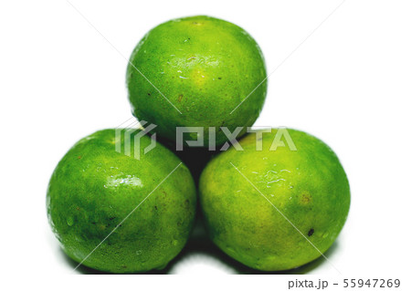 Fresh green tangerine it a fruit., isolated on Fresh green tangerine it a fruit., isolated on 55947269