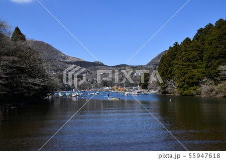 箱根の春 55947618