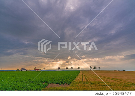 女満別メルヘンの丘 55948477