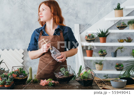 diy florarium plants growing hobby succulents 55949041