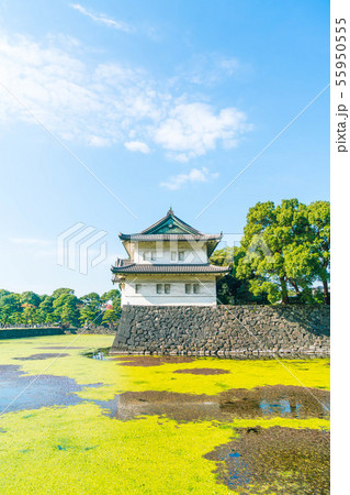 Beautiful Imperial palace building in Tokyo 55950555