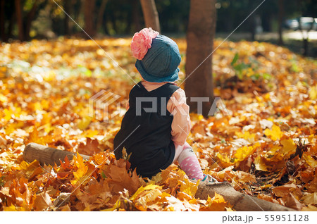 A little baby is playing with falling maple leaves A little baby is playing with falling maple leaves 55951128