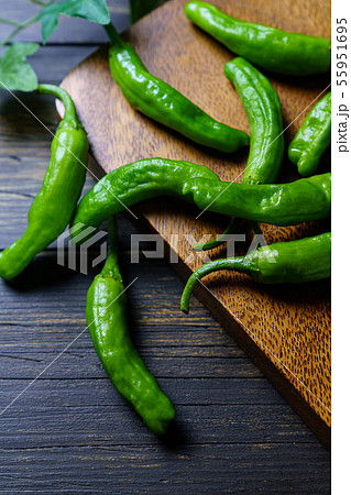 食材 唐辛子 ししとう 55951695