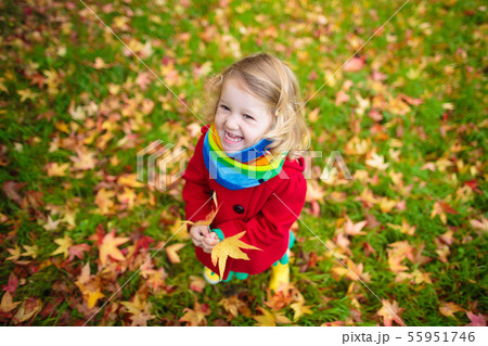 Little girl playing with maple leaf in autumn 55951746