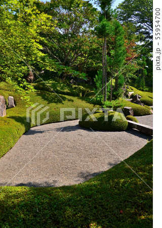 木曽 興禅寺庭園 木曽 興禅寺庭園 55954700