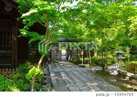 木曽 興禅寺庭園 木曽 興禅寺庭園 55954705