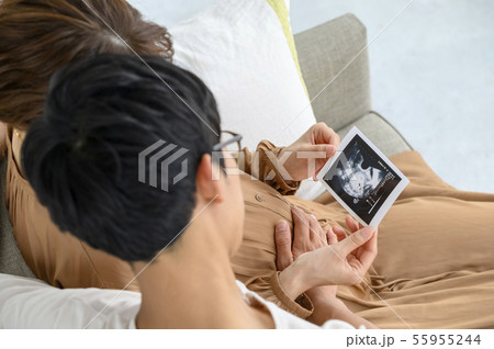マタニティイメージ エコー写真 マタニティイメージ エコー写真 55955244