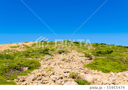 蔵王山頂付近の森林限界岩場　ガレ場 55955474