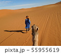 サハラ砂漠とラクダ引き 55955619
