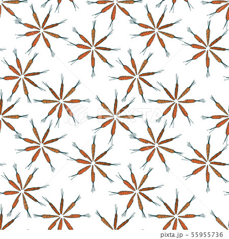 Flower shaped carrot seamless pattern. Vector graphics. Colorful carrots on a white background 55955736