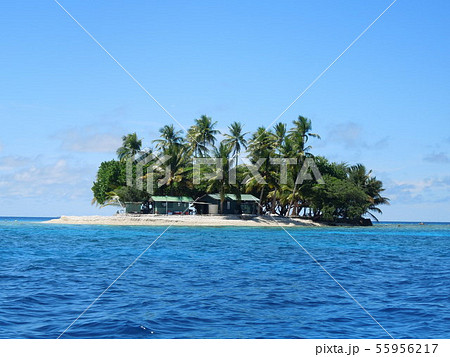 ジープ島 55956217