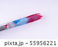 brush for drawing on a white background. clouse up 55956221