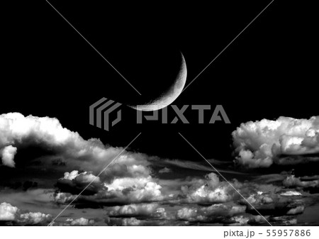 The moon in the night sky 55957886