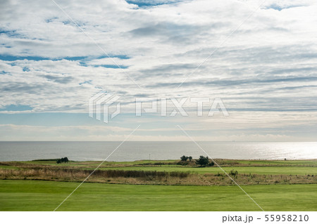View of green field next to the sea 55958210