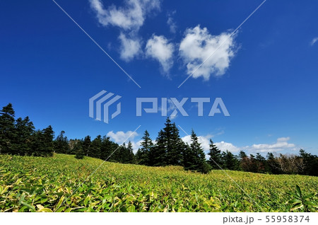 青空と草原 青空と草原 55958374