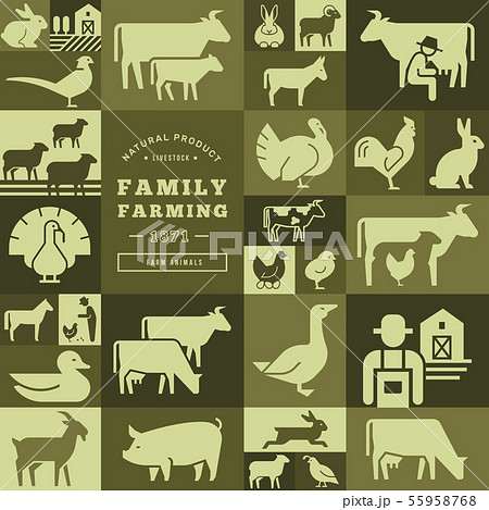 Seamless pattern of various farm animals on dark backgrounds from vector icons. 55958768