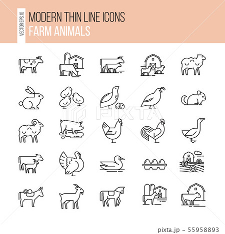 Collection of illustrations in line style, well-drawn and isolated on white background. 55958893