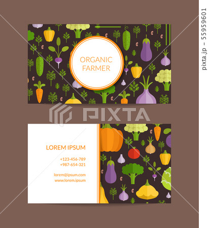 Vector flat vegetables organic farm, vegan, healthy food business card template 55959601