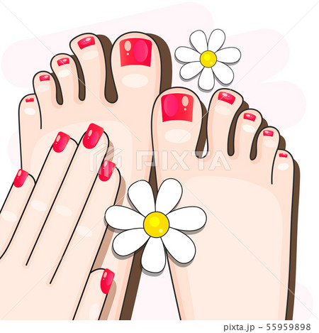 Pedicure Female Fingers Vector Illustration Of Pedicure Female Fingers Vector Illustration Of 55959898