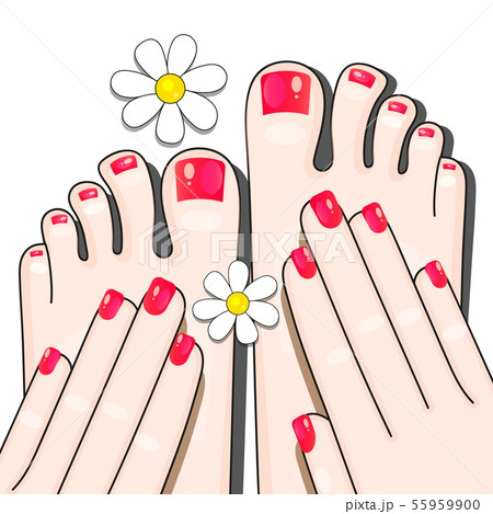 Pedicure Female Fingers Vector Illustration Of Pedicure Female Fingers Vector Illustration Of 55959900