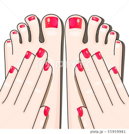 Pedicure Female Fingers Vector Illustration Of 55959981
