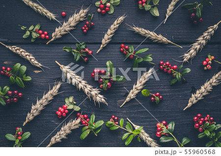 Pattern wild berries and ears of wheat Pattern wild berries and ears of wheat 55960568